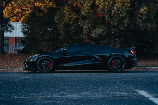 Kaszinó Sticky Wilds Android/iOS Alkalmazás